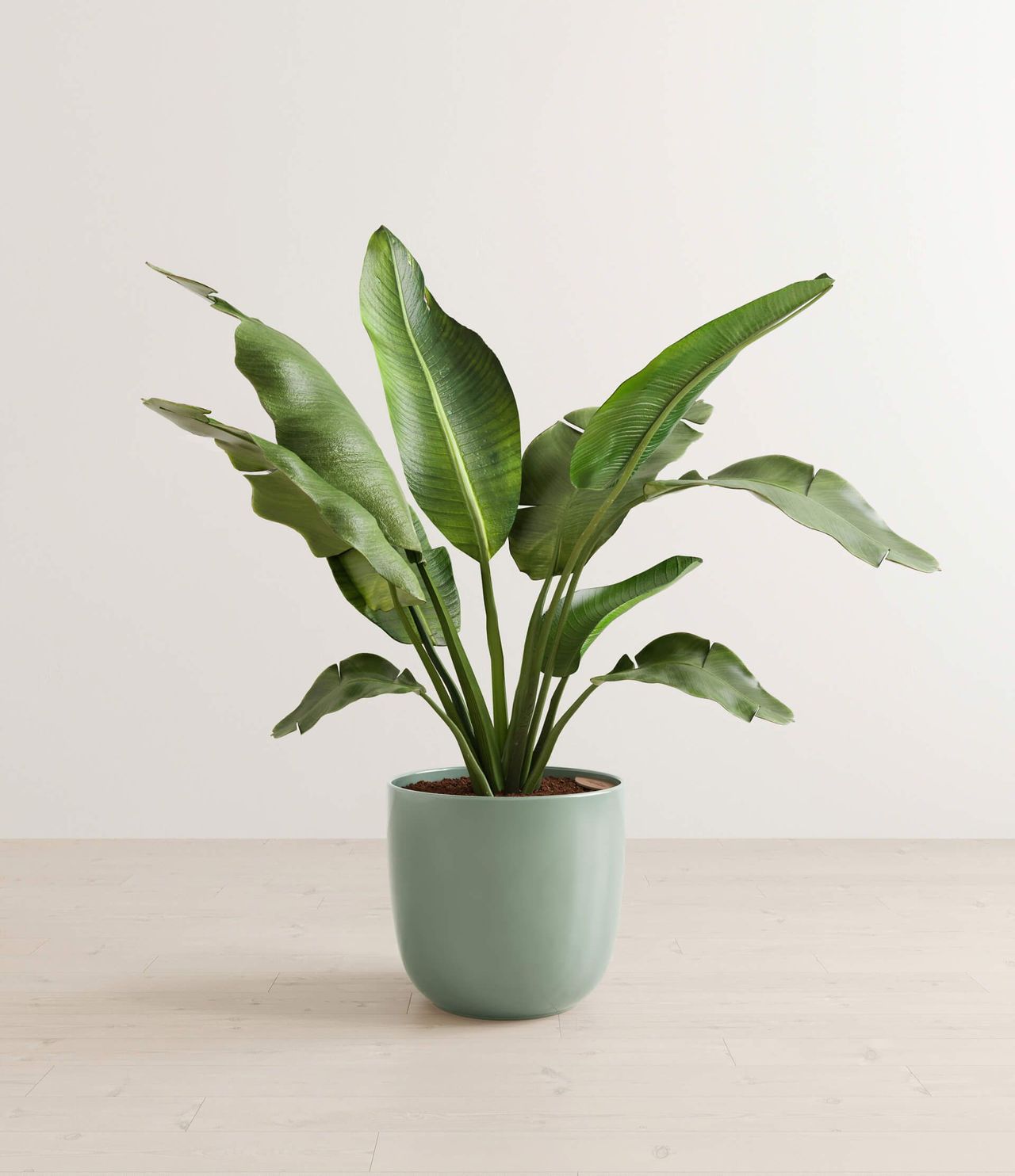 Blue Pot Silo 3D Visualization