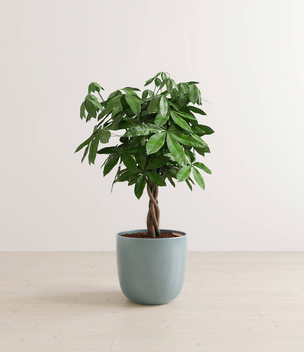 Blue Pot Silo CG Visualization