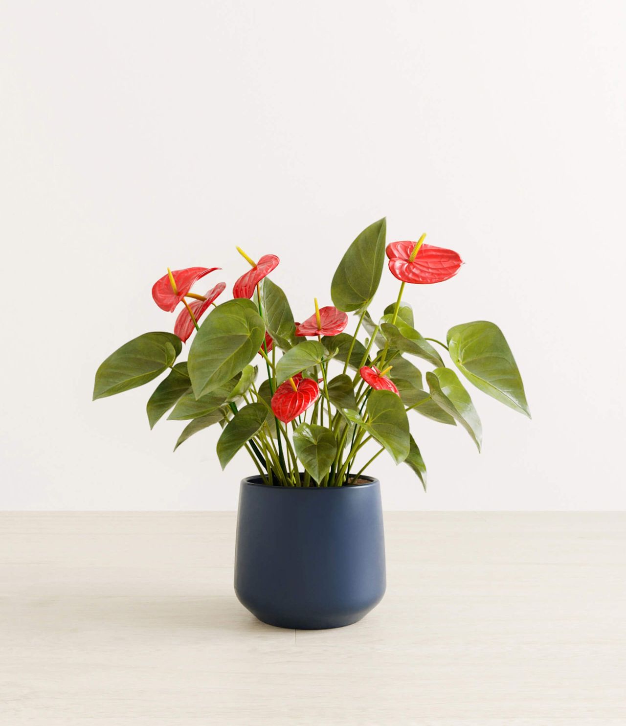 3D product rendering of a plant in a blue pot, showcasing photorealistic visualization and first-class 3D modeling