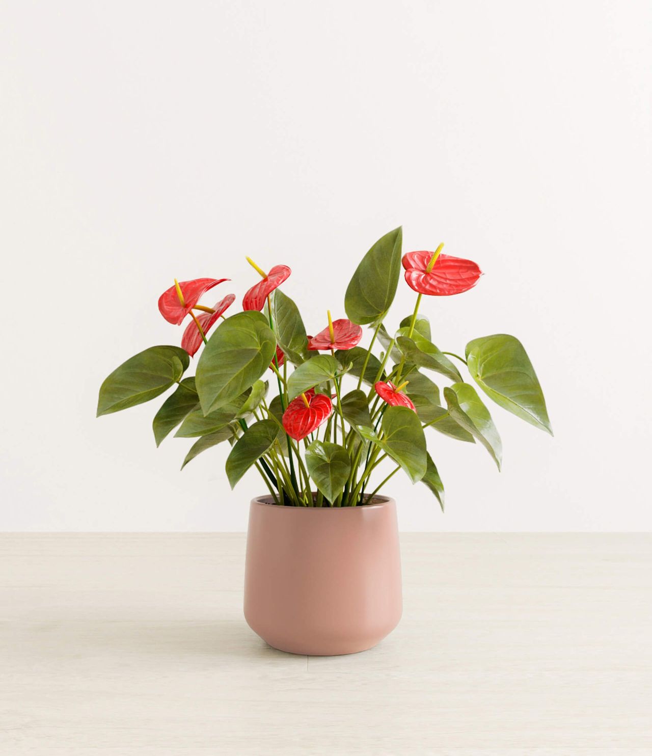 Dusty Pink Pot Silo CG Visualization