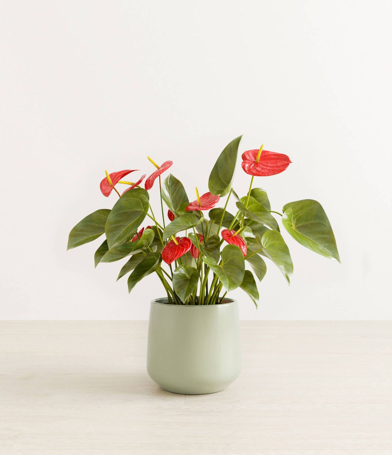 3D rendered image of a plant in a pot, showcasing photorealistic CGI and first-class 3D visualization