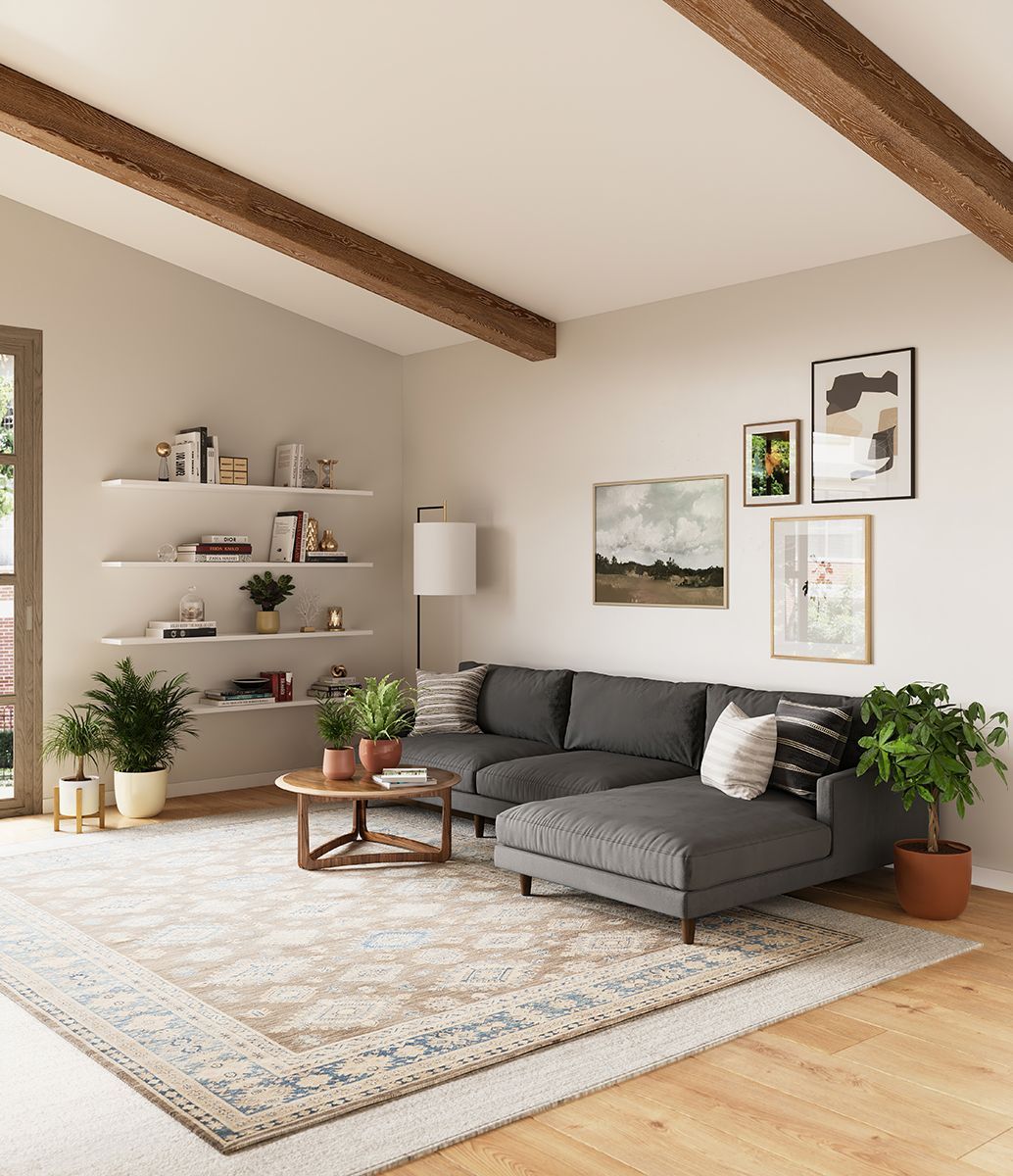 Living Room with a Sofa 3D Lifestyle Rendering