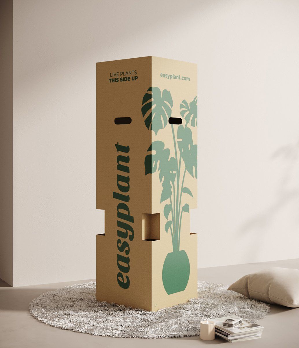 3D rendered image showcasing Easyplant packaging, highlighting 3D product modeling and realistic rendering