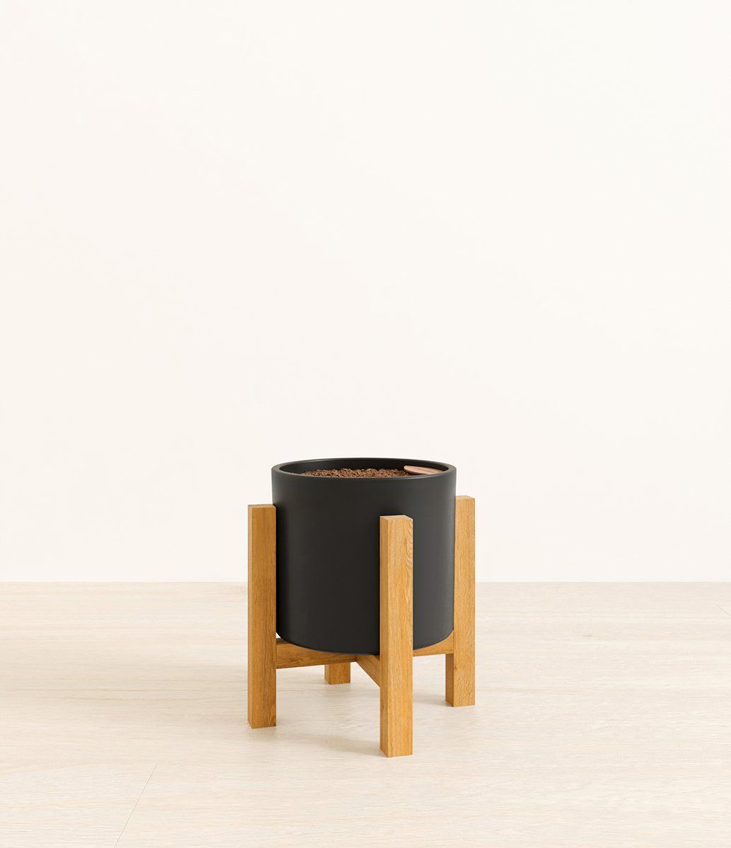 3D rendered image of a stylish planter with wooden stand, showcasing first-class 3D product visualization and realistic rendering