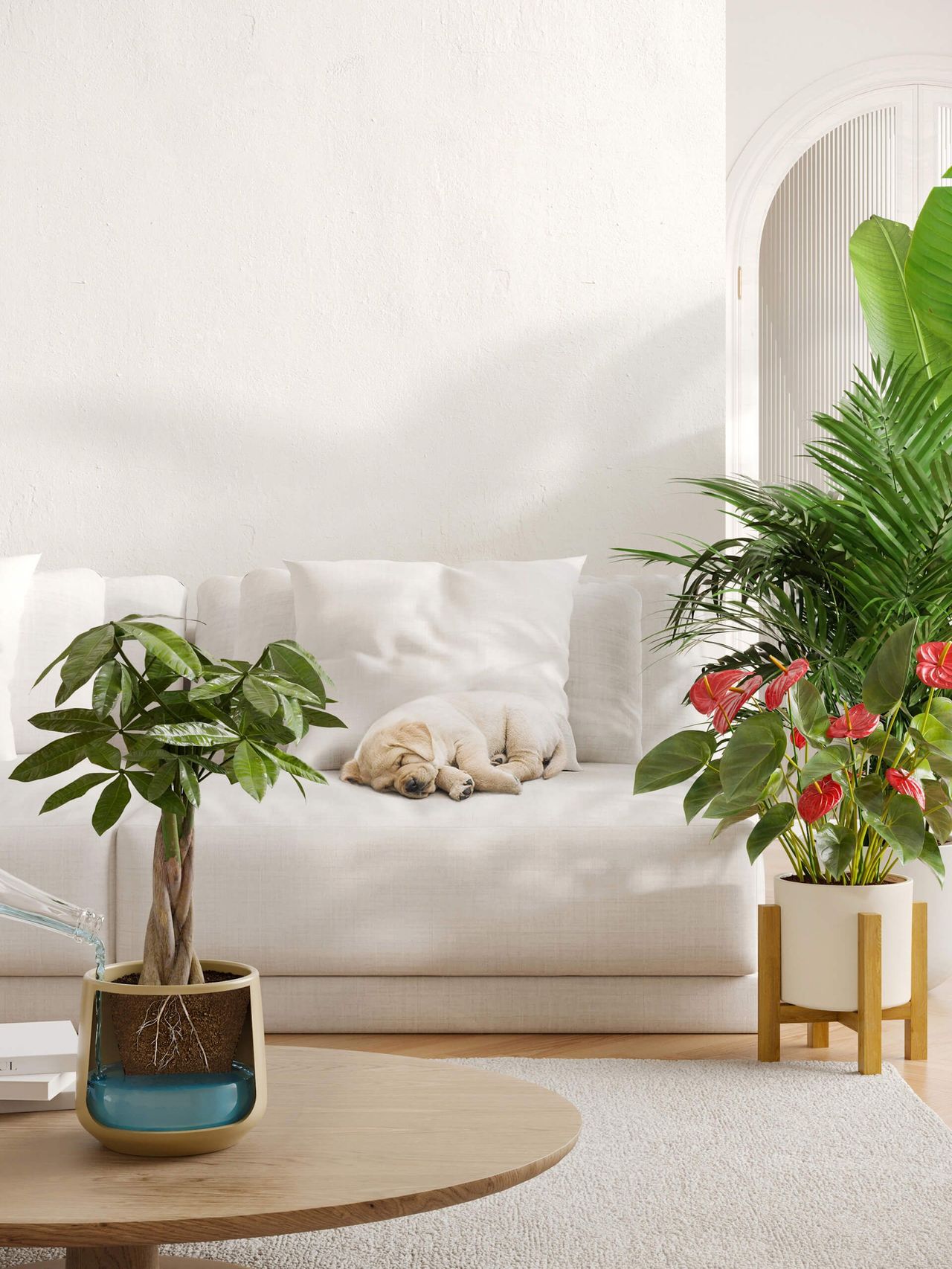 Lifestyle CGI of Plant Pots