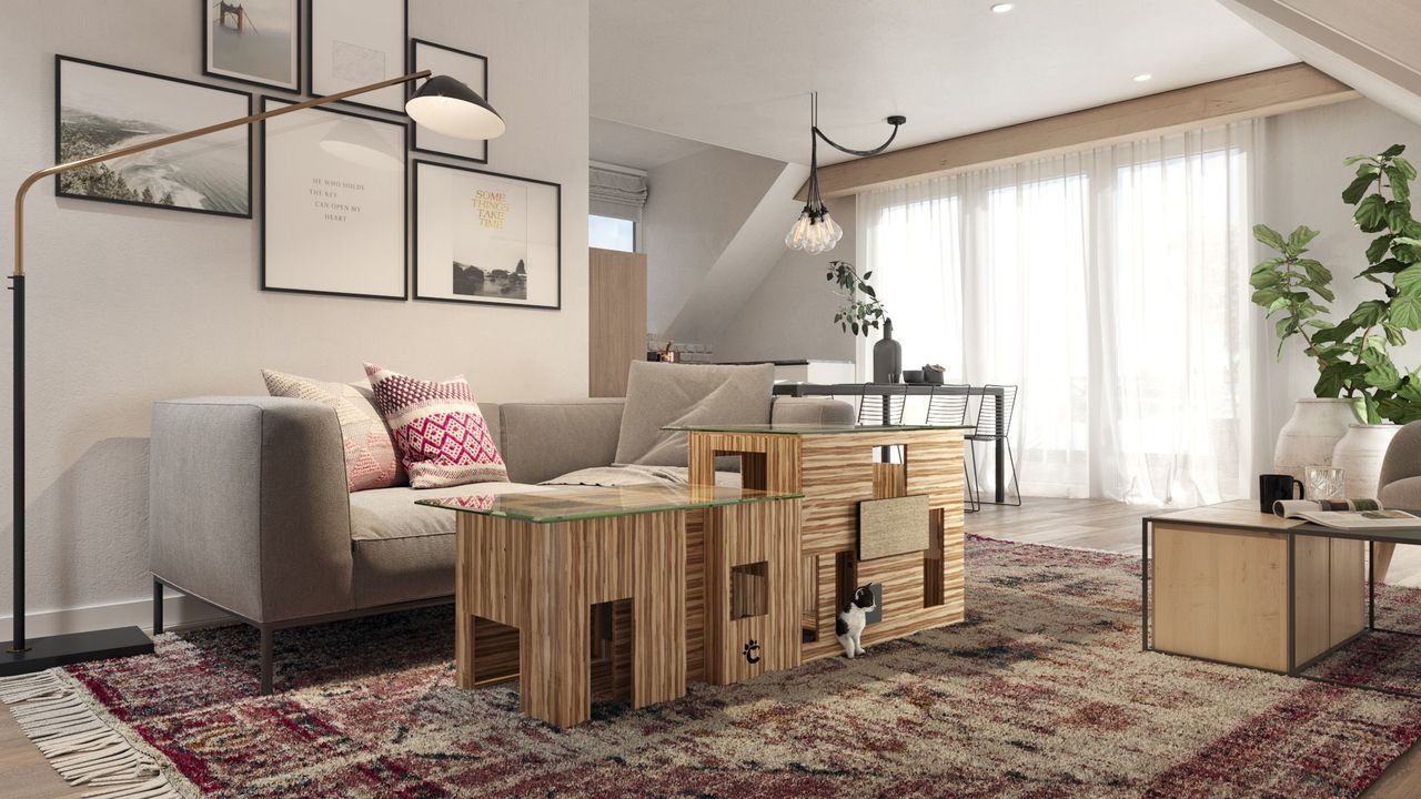 3D Rendering for Cat Kingdom