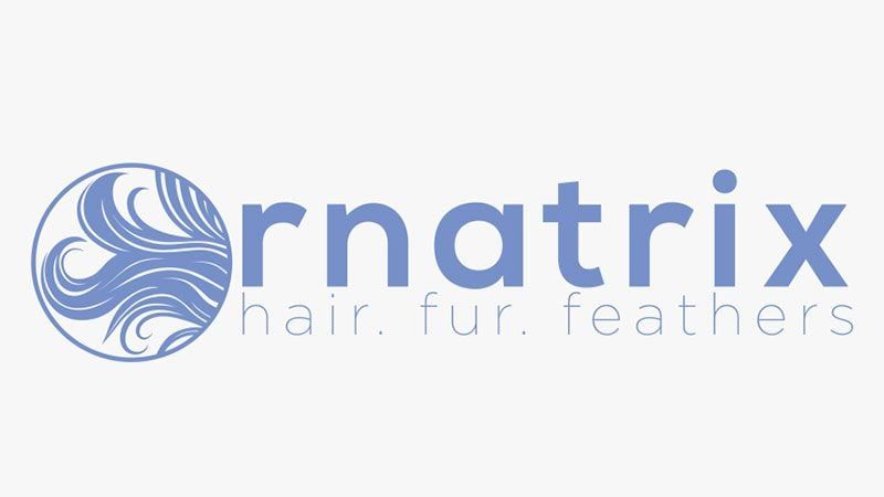 A Logotype for Ornatrix 3ds Max Plugin