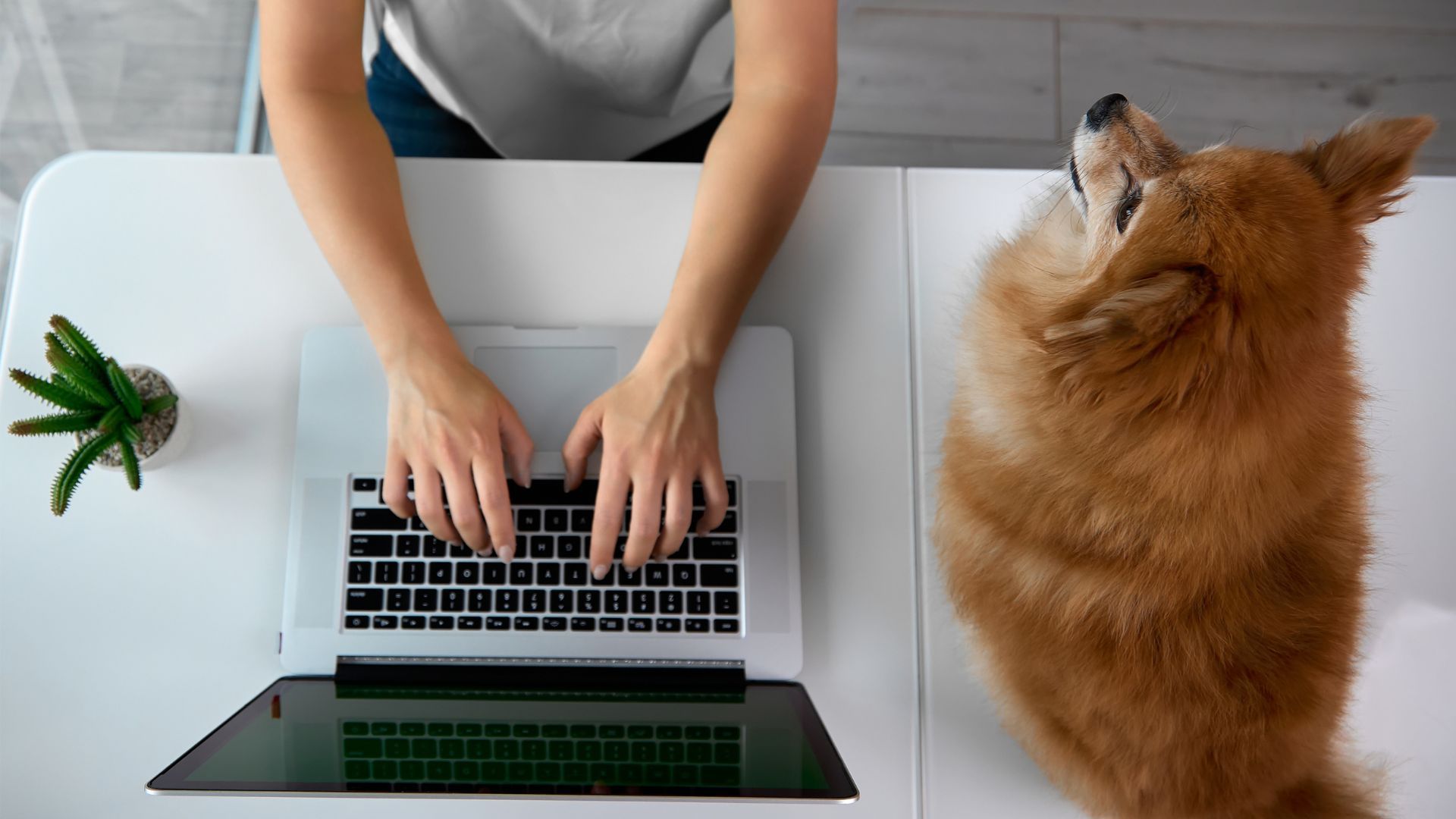 PPC Process Management