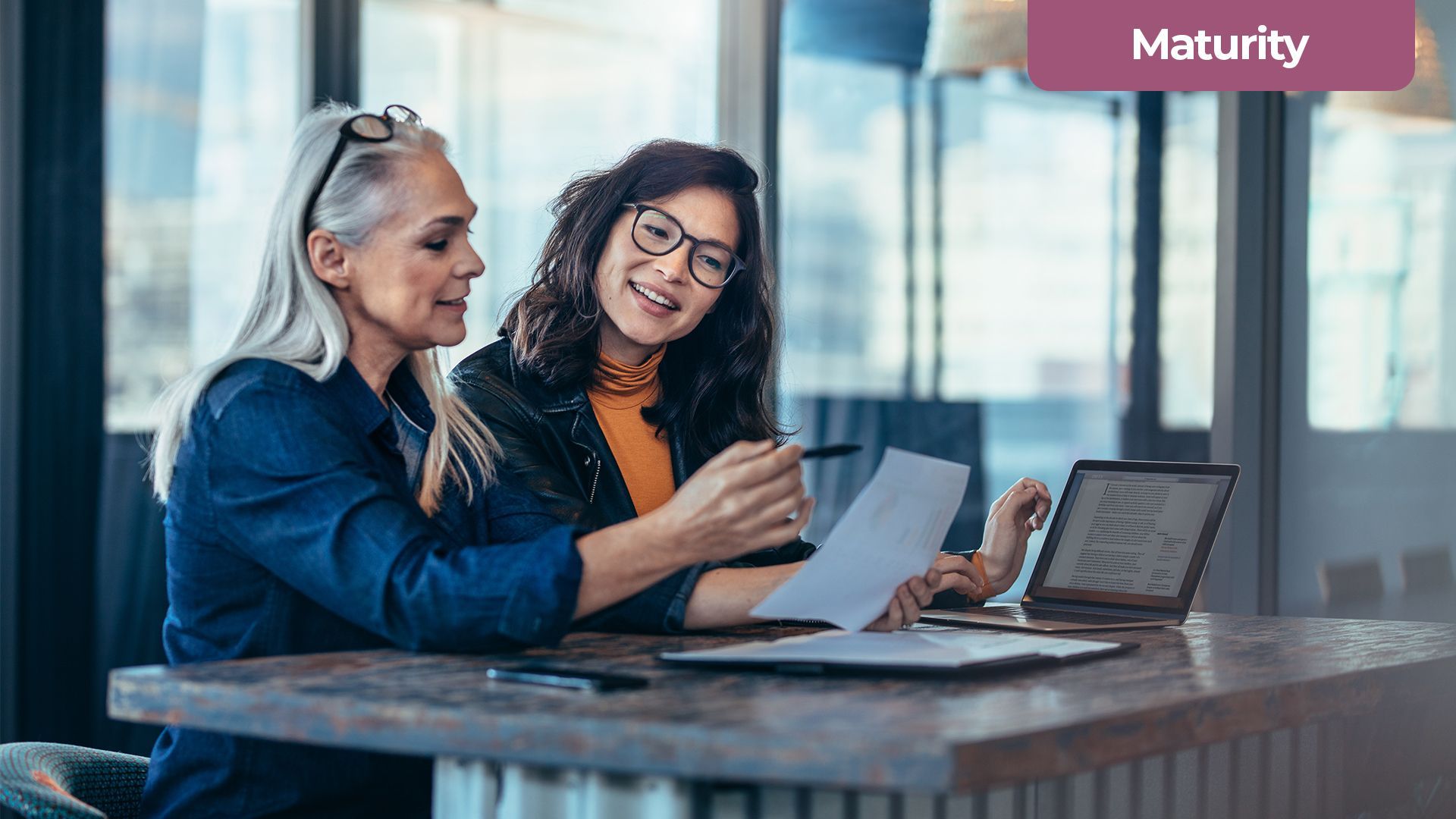 Maturity Stage of Product Life Cycle