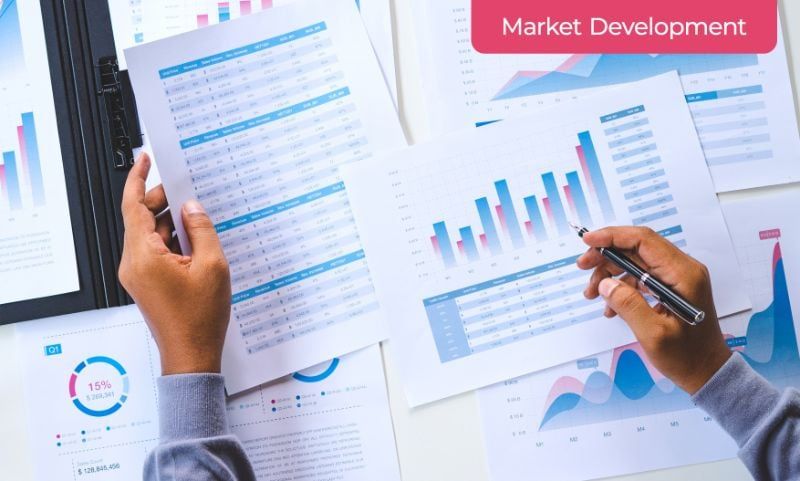 A Marketer Calculating Risks of Market Development Strategy for Products