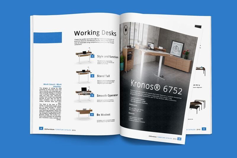 A Traditional Product Catalog Used for Offline Promo as a Substitute for a Digital Marketing