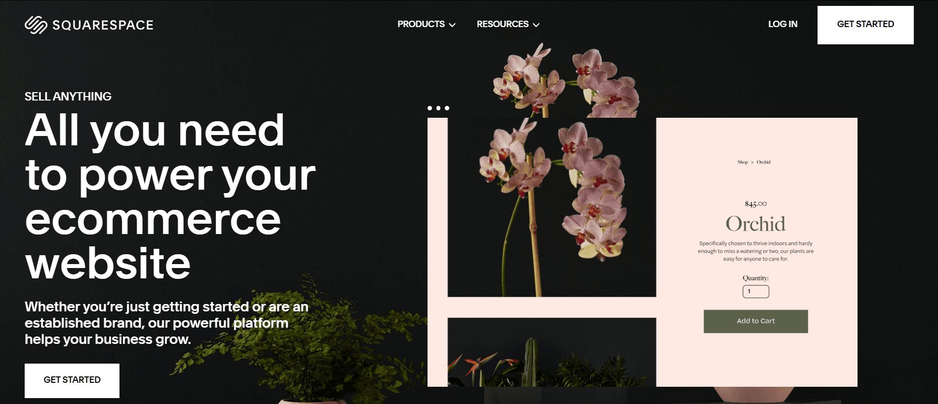 Square Space for Furniture Ecommerce