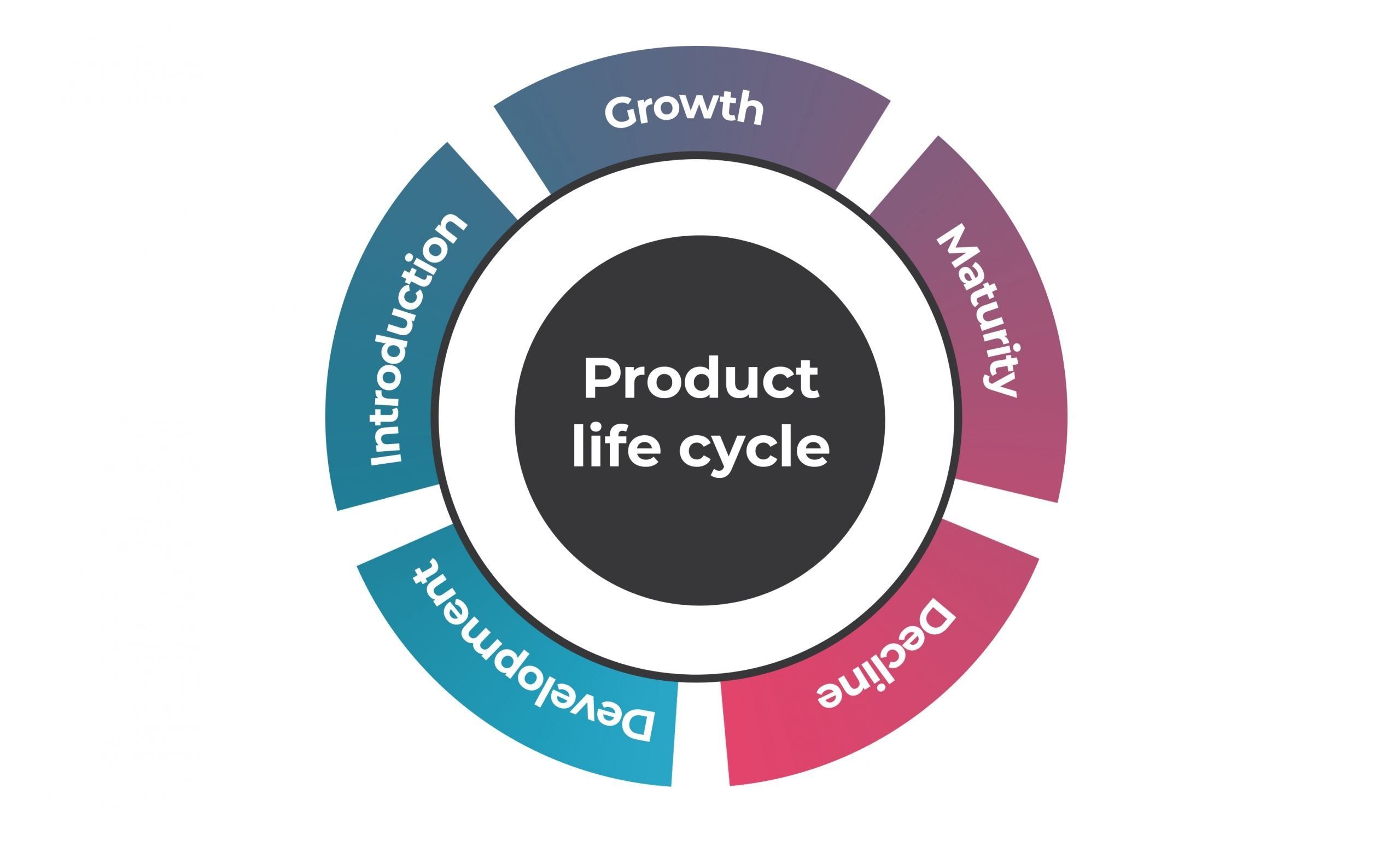 Product Life Cycle: 5 Stages