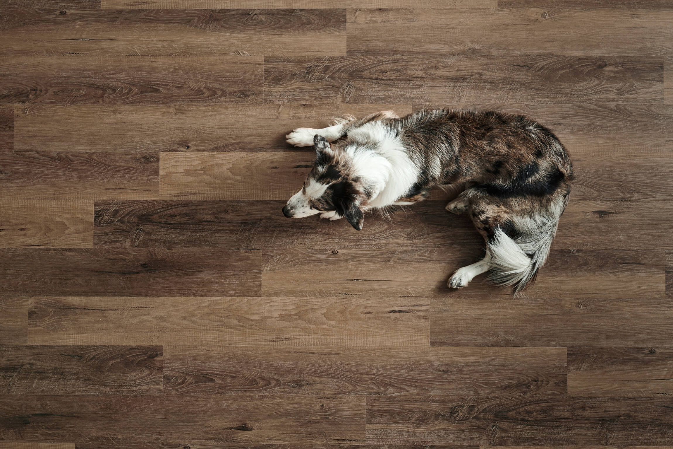 Mannington 3D Visualization Case Study