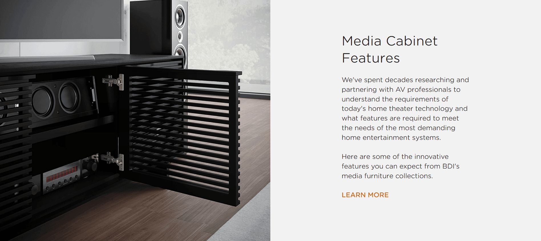 CGI for BDI Company's Site Page