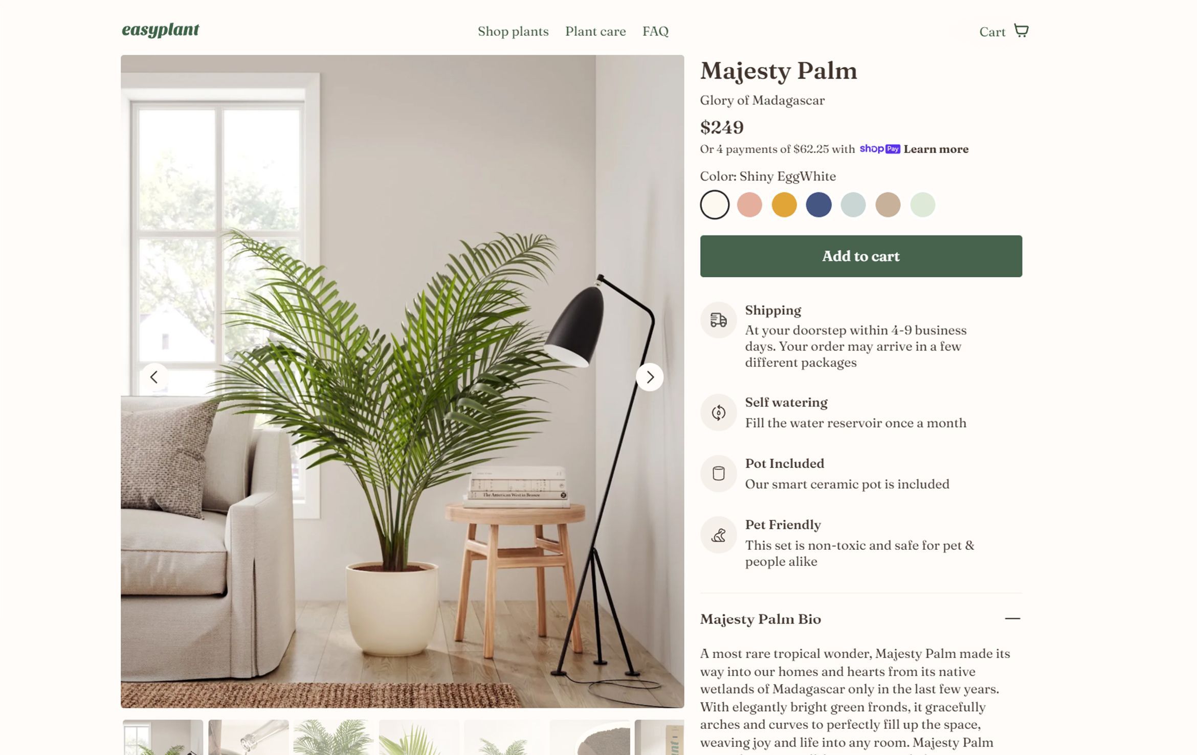 3D interior rendering showcasing a Majesty Palm, modern furniture, and natural lighting for realistic furniture rendering and 3D lifestyle visualization.