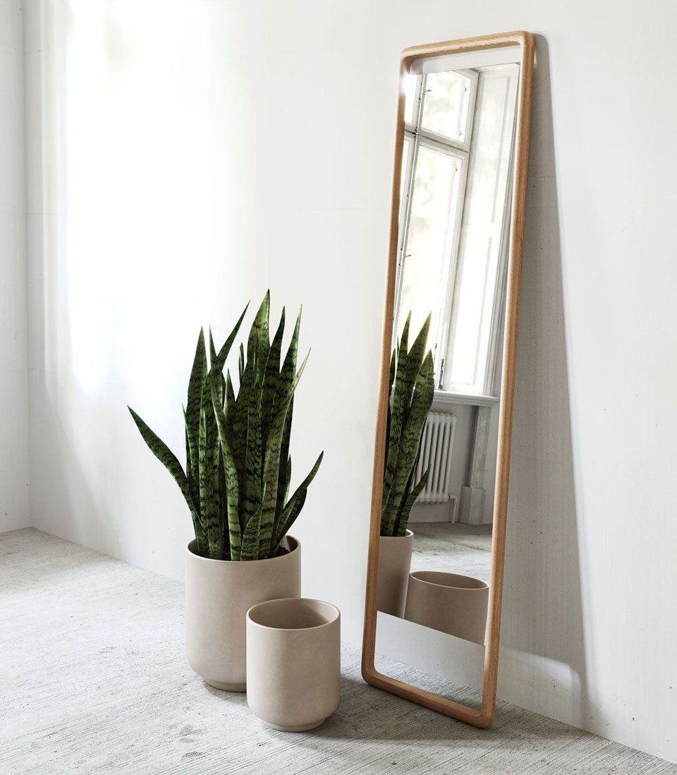3D rendered image showcasing a trendy mirror with a plant, highlighting 3D furniture modeling and interior visualization.