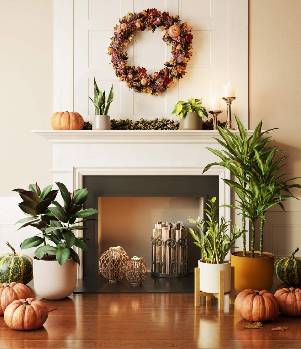 3D lifestyle visualization showcasing autumn-themed decor with pumpkins and plants, featuring realistic furniture rendering and high-quality 3D visualization.