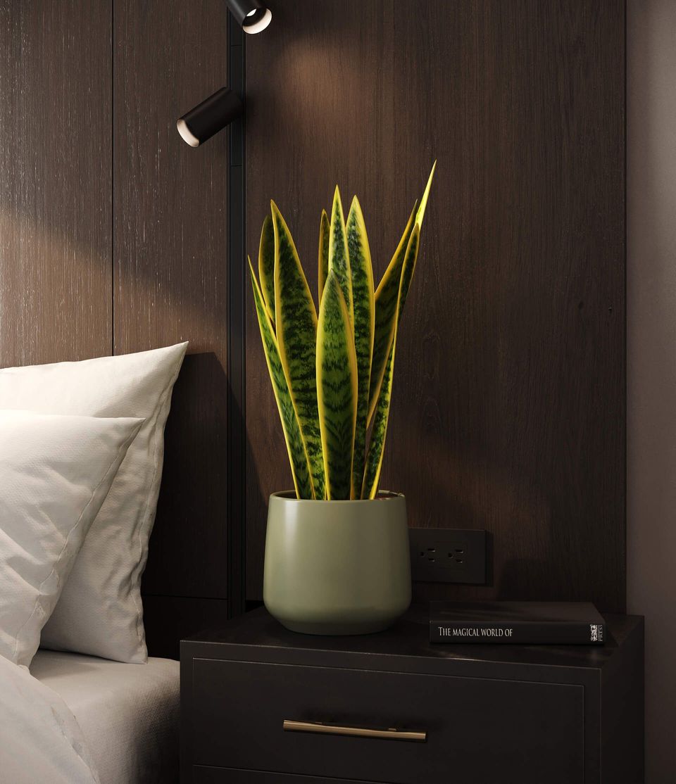 Top-notch 3D rendering of a bedroom interior featuring a potted plant on a nightstand, showcasing realistic furniture rendering and photorealistic visualization.