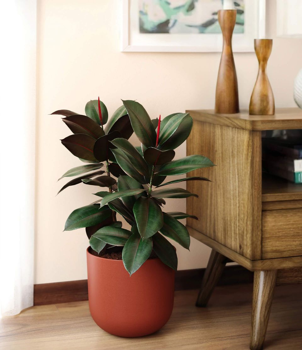 High-quality 3D rendered furniture with realistic plant, showcasing 3D interior visualization and photorealistic rendering.