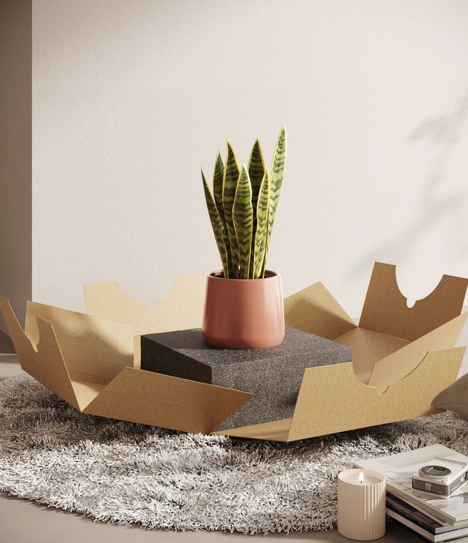 3D rendered image showcasing a trendy plant setup with realistic house fittings visualization, featuring a potted plant on a textured surface, highlighting 3D modeling and rendering techniques.