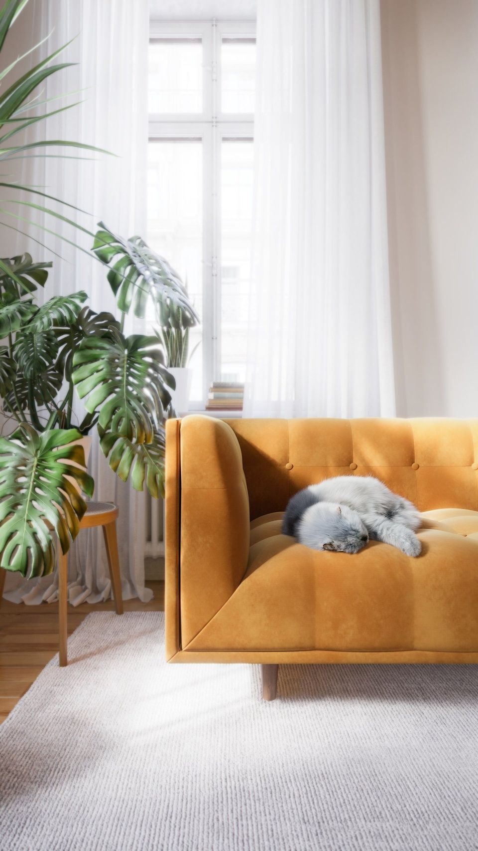 3D rendered image of a cozy living room featuring a trendy orange sofa with a cat, showcasing 3D house fittings modeling and realistic interior rendering.