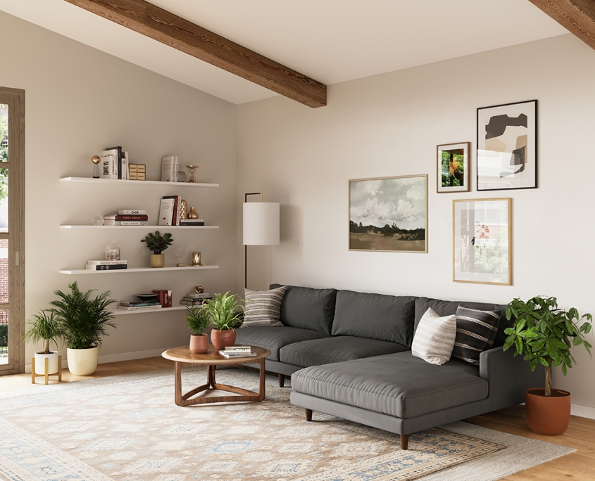 Living Room with a Sofa 3D Lifestyle Rendering