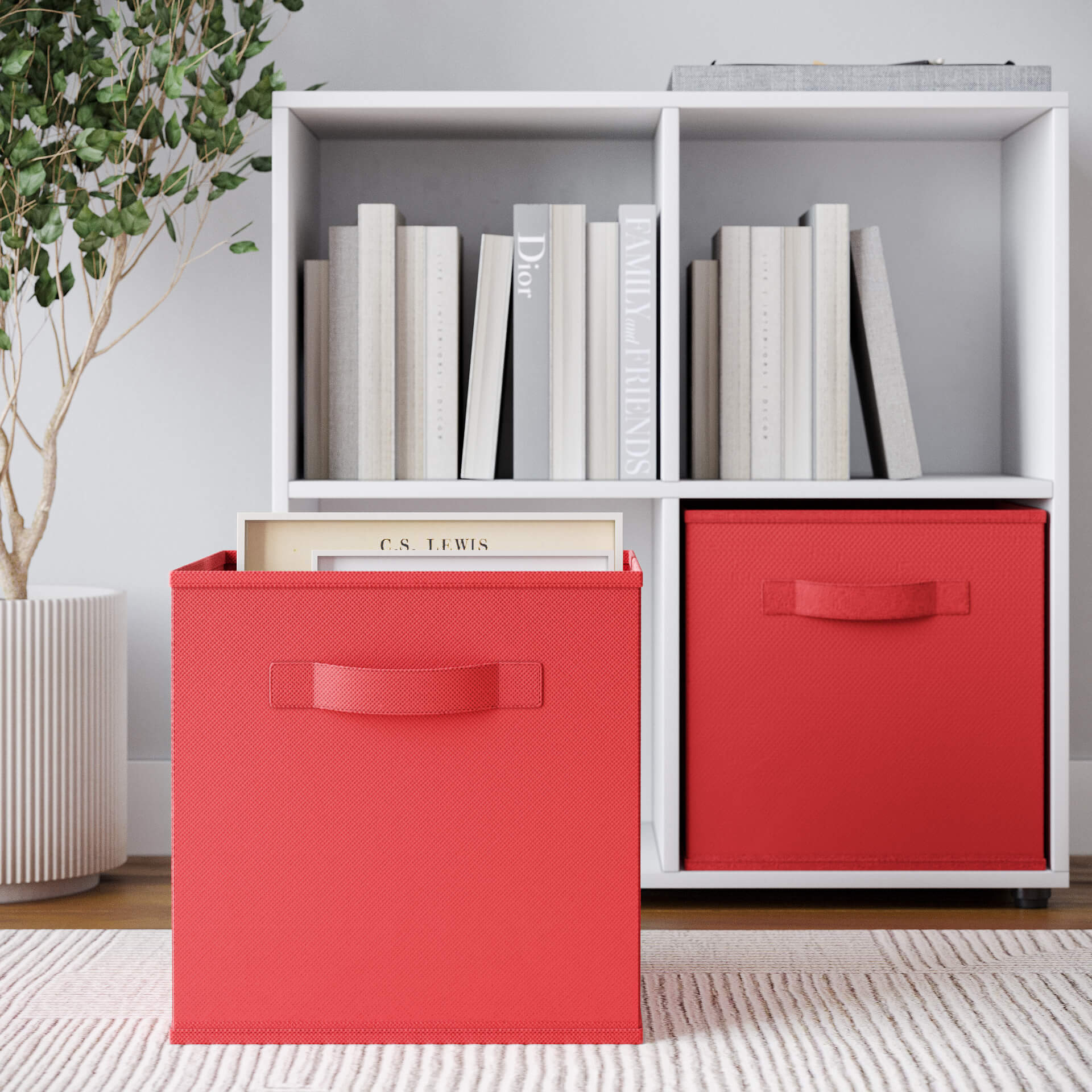 Red Cabinet Close-Up Rendering