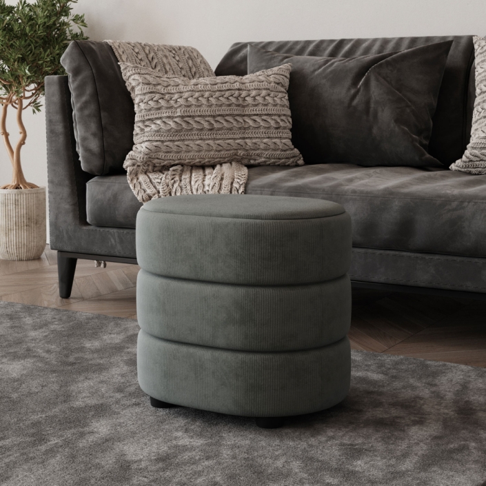 Gray Ottoman with Storage 3D Rendering