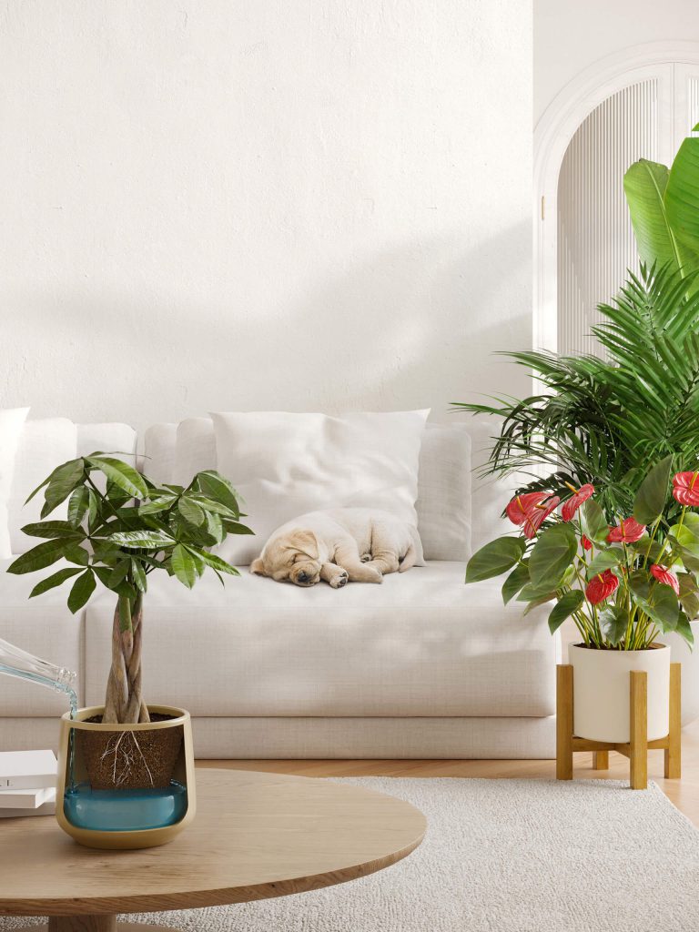 3D Interior Visualization with Realistic Furniture Rendering