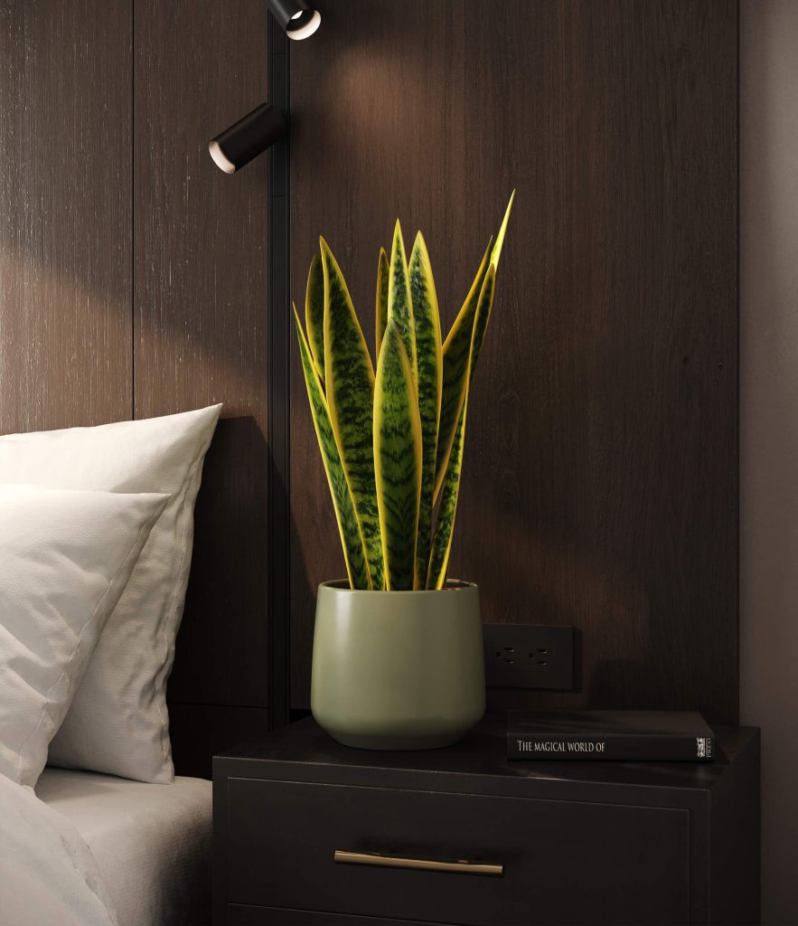 3D Interior Visualization of Bedroom with Plant
