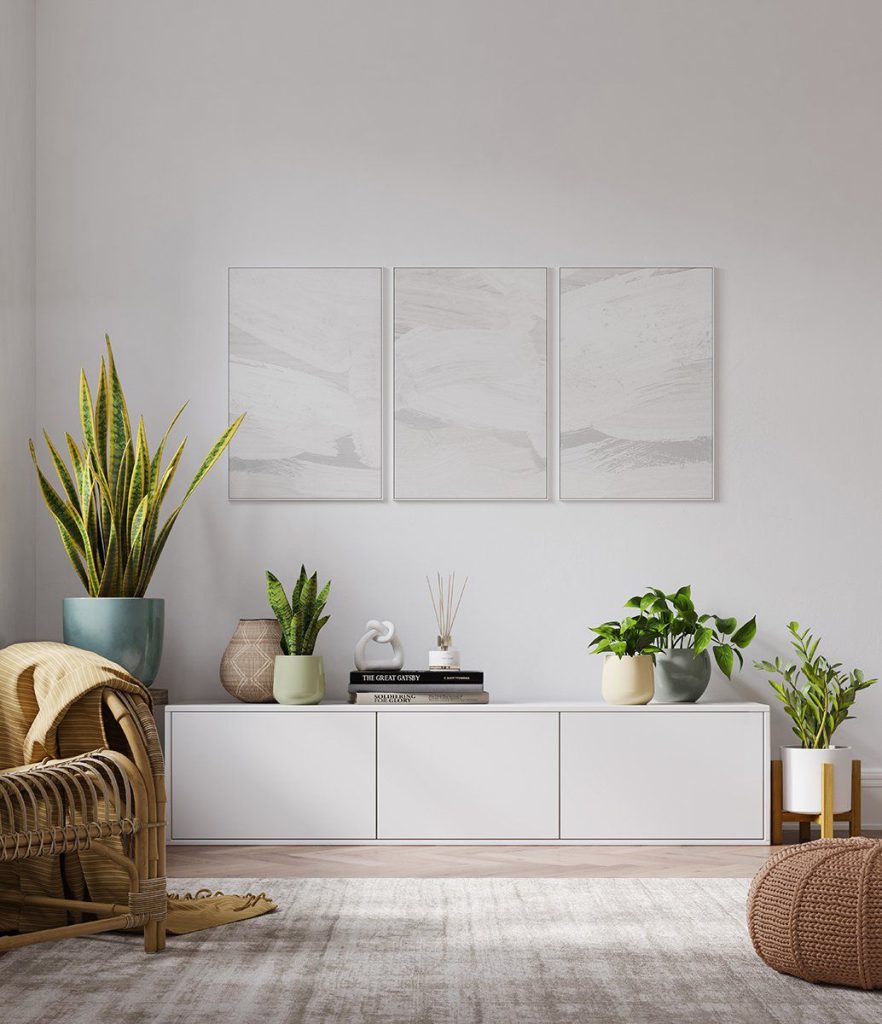 3D Interior Visualization Featuring Minimalist Plant Decor