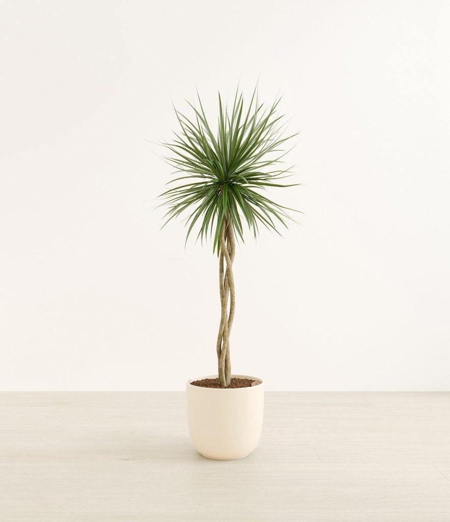 360 Product Photography