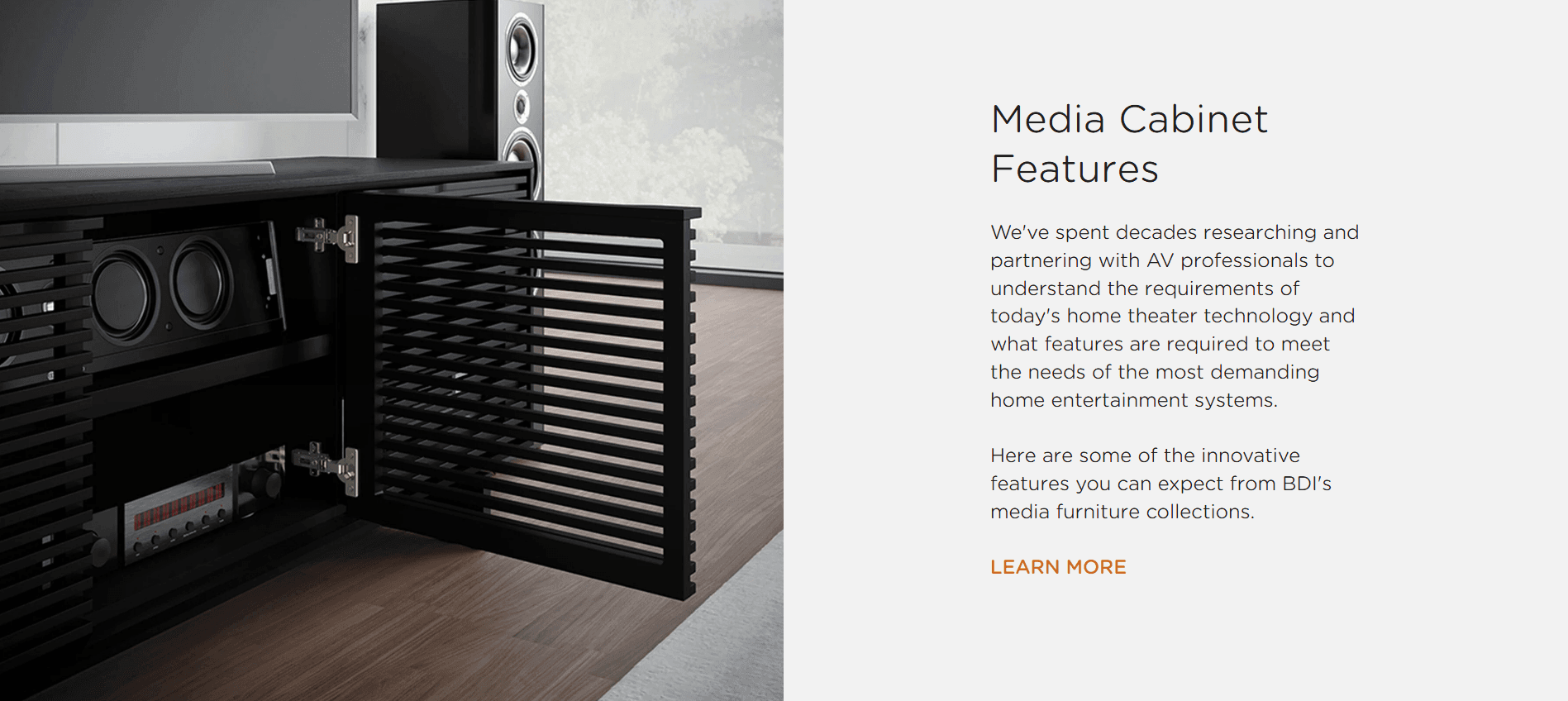 CGI for BDI Company's Site Page