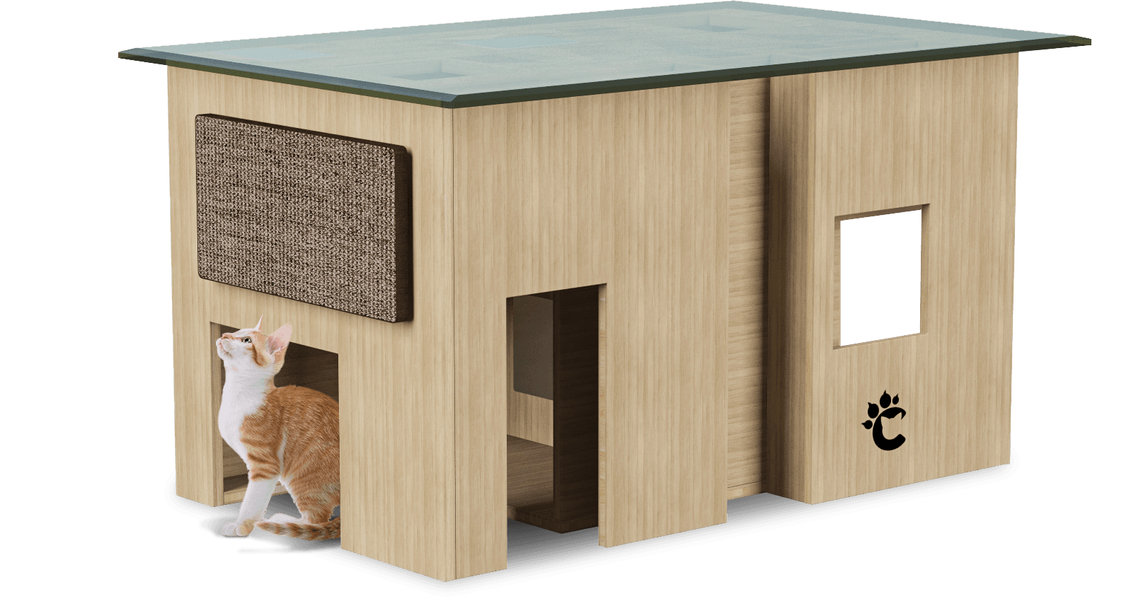 Clawz: 360 Views and AR for Pet Products