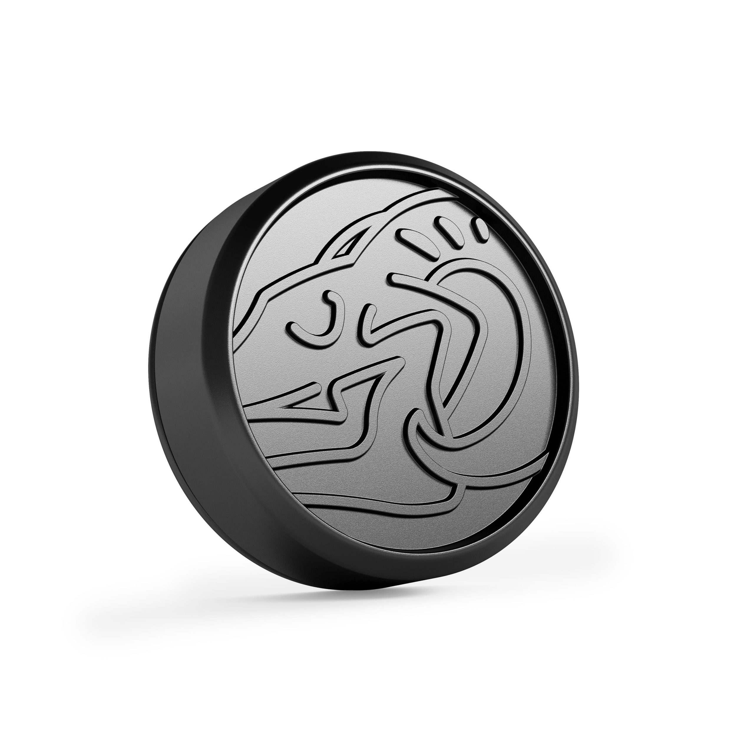 Close-up of WheelTech GP wheel center cap