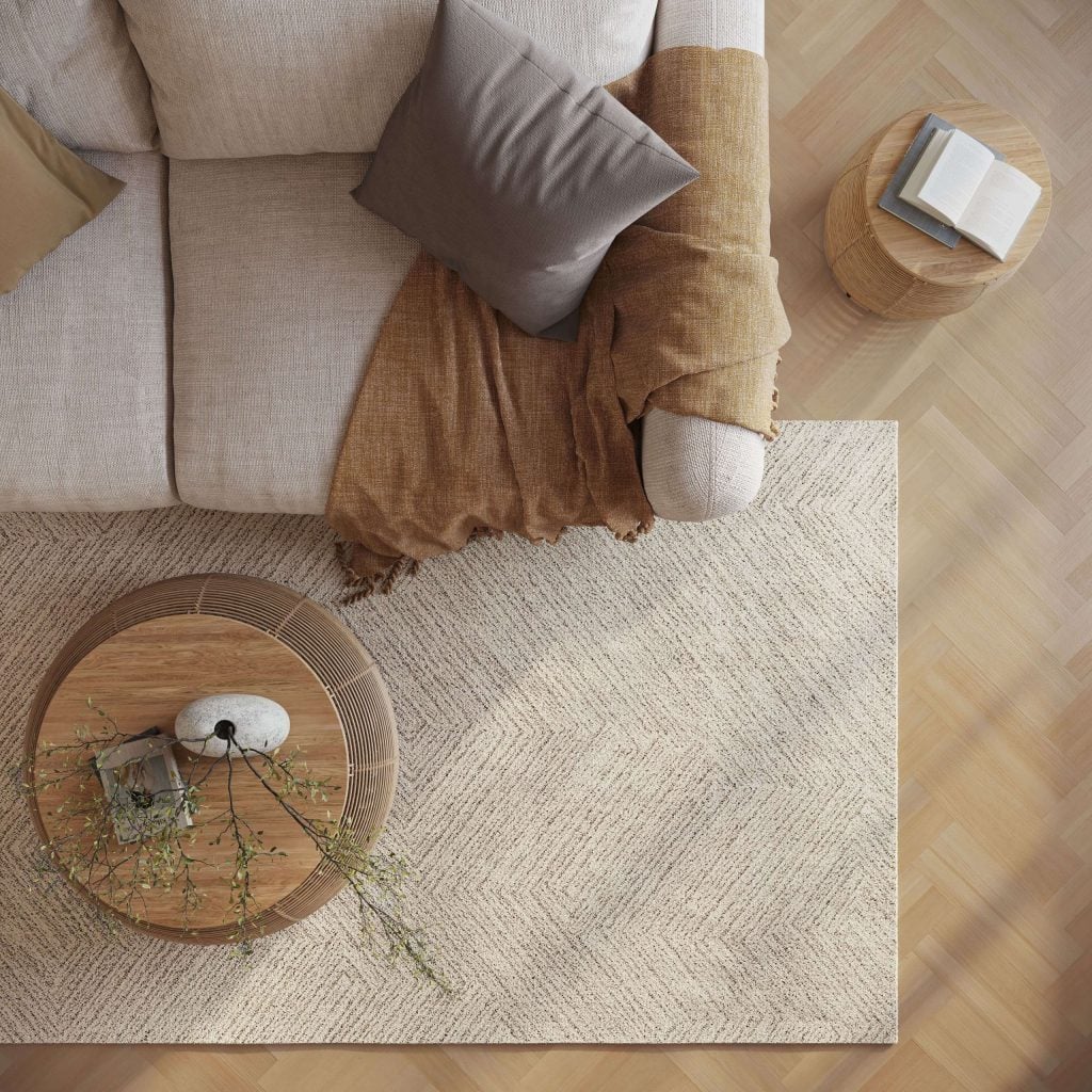3D Interior Visualization of Cozy Living Room with fittings Rendering