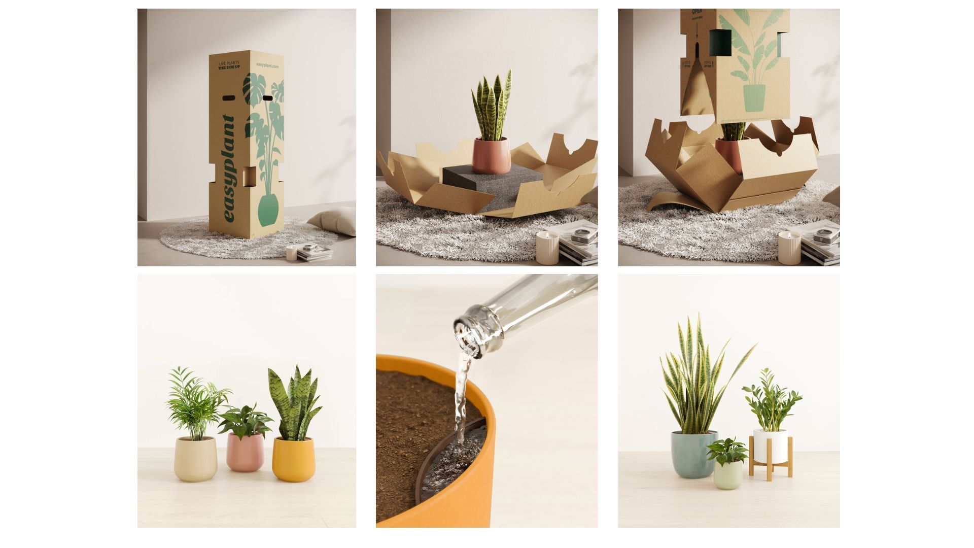 Decor CGI for Plant Brand