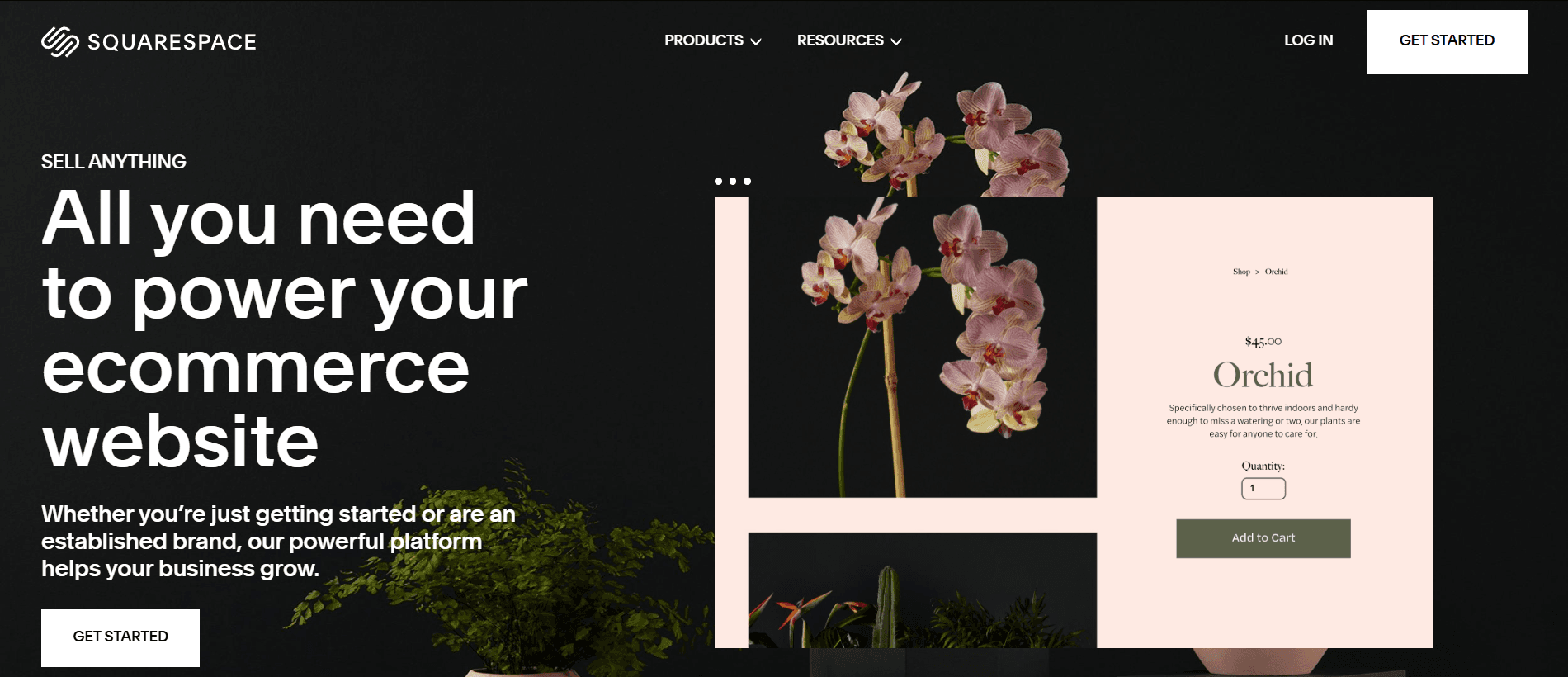 Square Space for Furniture Ecommerce