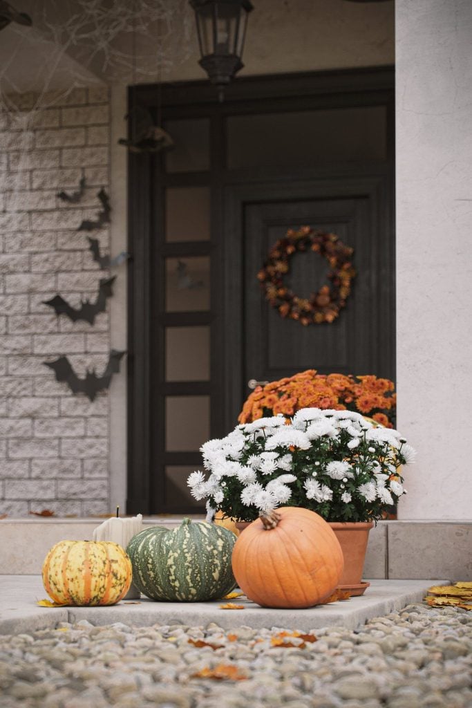 3D Lifestyle Visualization of Autumn Decor with Pumpkins and Flowers