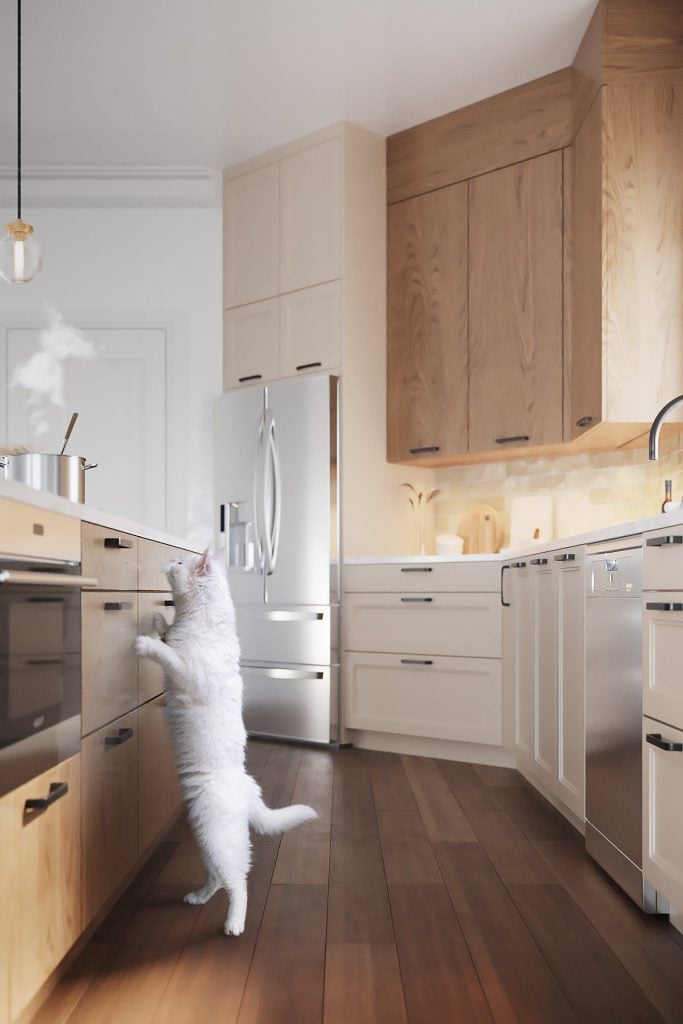 Photorealistic 3D Kitchen Interior Rendering with Cat