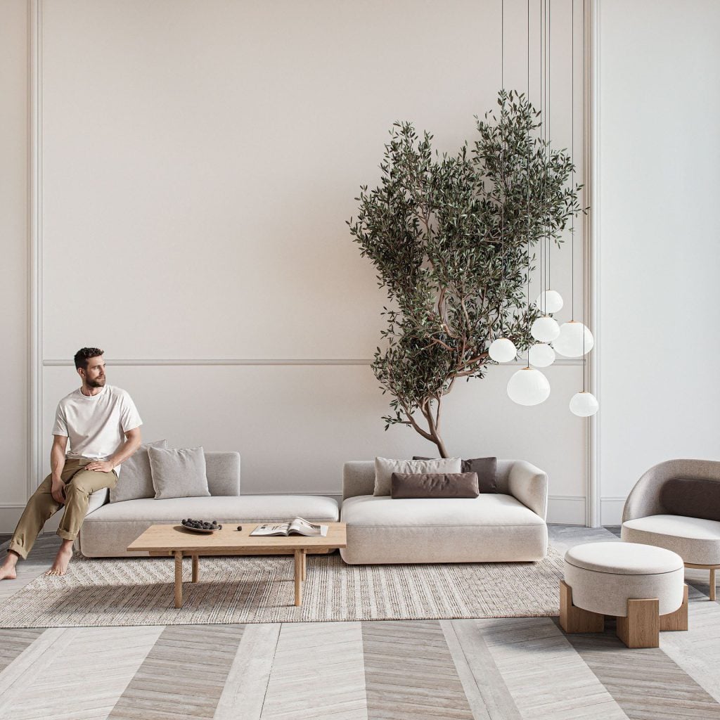 3D Interior Visualization of Modern Living Room with Furniture Rendering