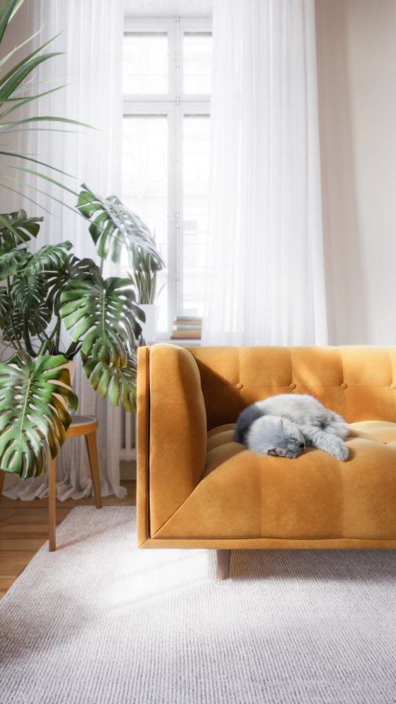 3D Interior Visualization of trendy fittings with Cat