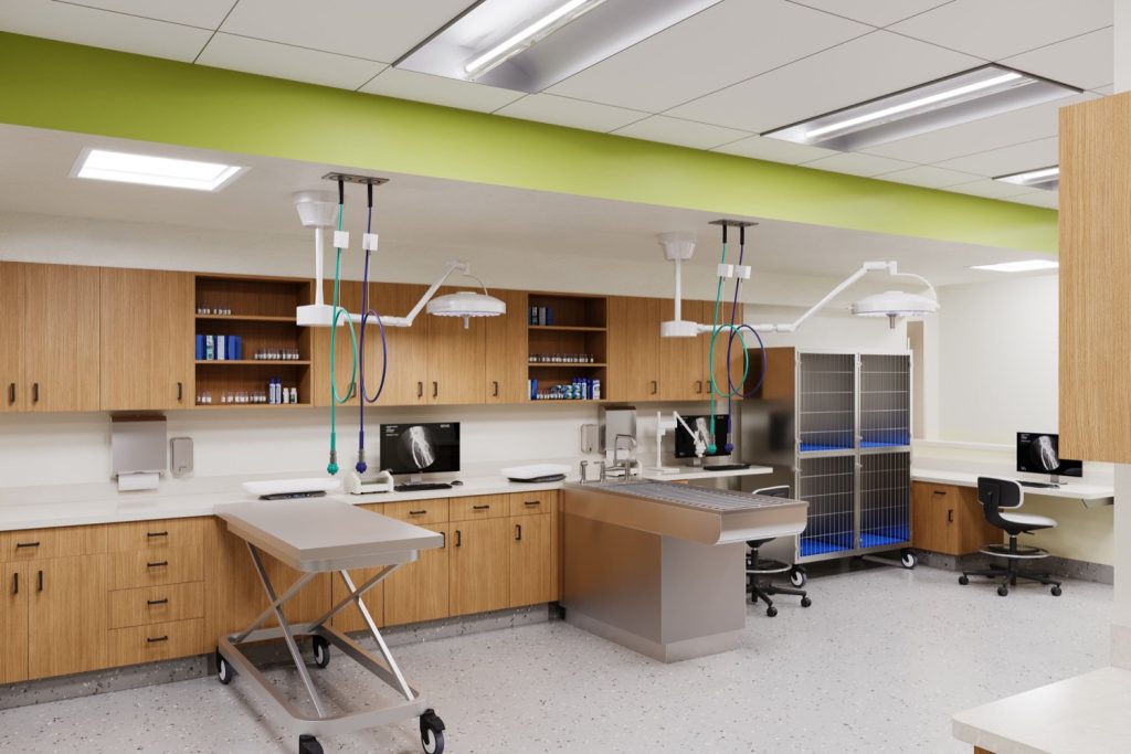 Lab benches, fume hoods & casework