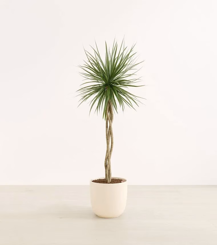 360 Product Photography